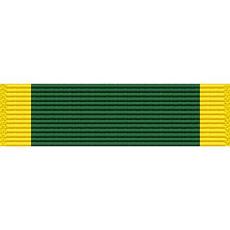 Washington National Guard Distinguished Service Medal Ribbon